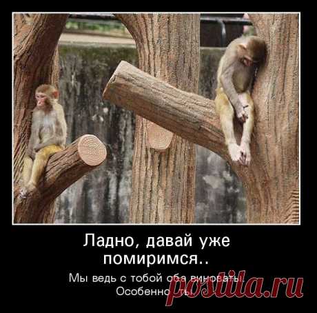 Демотиваторы с животными