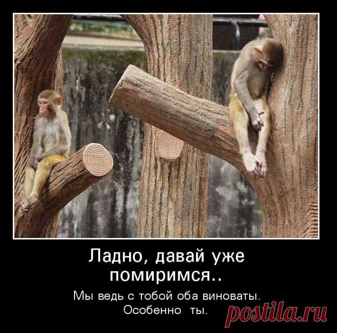 Демотиваторы с животными