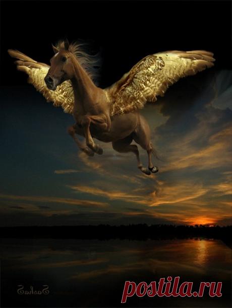 Легенды о мифическом коне - Тулпаре » Сайт о лошадях KoHuKu.ru