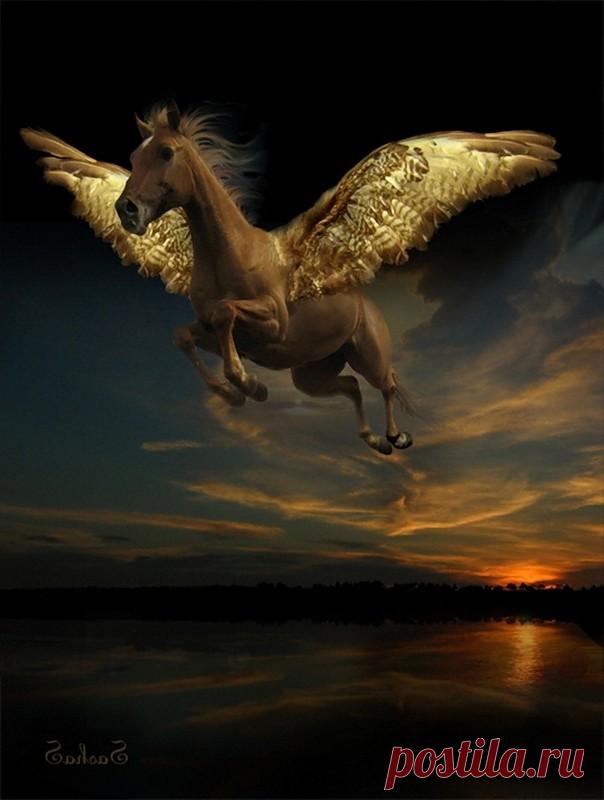 Легенды о мифическом коне - Тулпаре » Сайт о лошадях KoHuKu.ru
