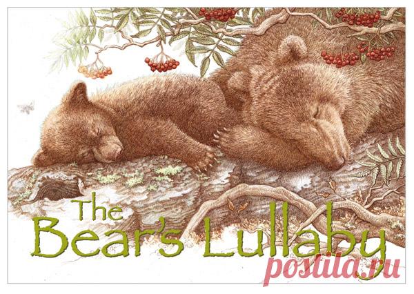 The Bear's Lullaby on Behance