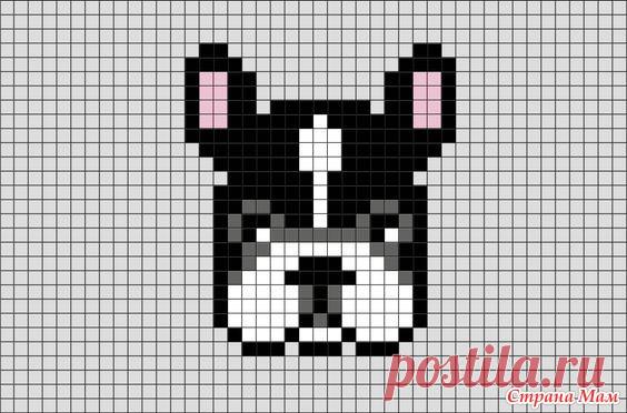 Собаки для 2018 - Жаккард - Страна Мам