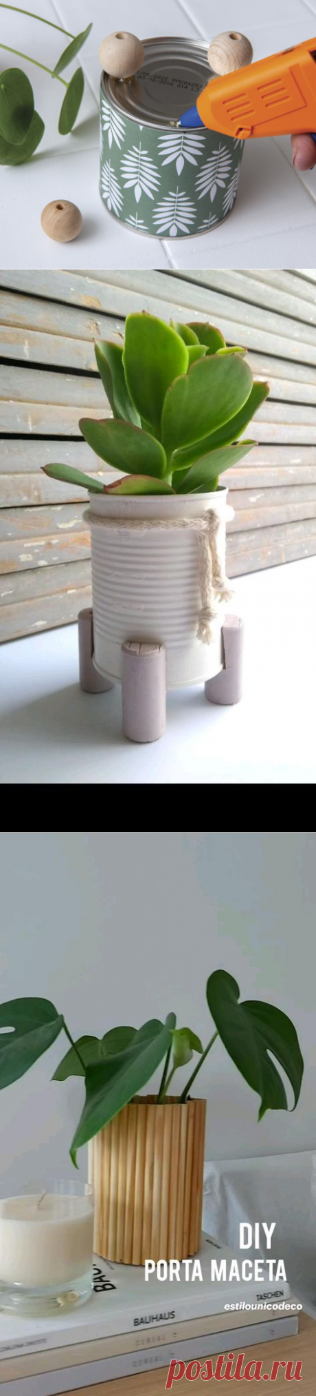 (681) Pinterest