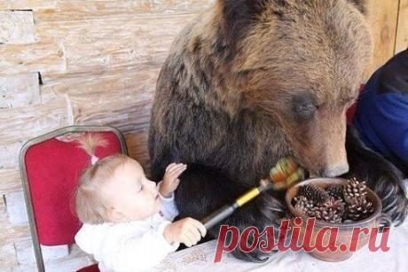 Купили год назад ребенку хомячка