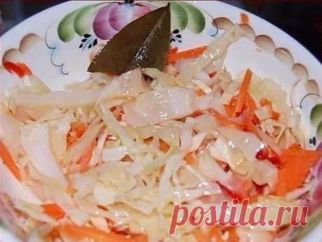 Учебник хозяйки