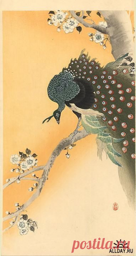 Красива и необычна японская живопись. Косон Охара 1877-1945гг. | Волшебная сила искусства