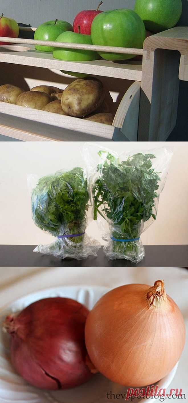 Тонкости хранения продуктов / Домоседы