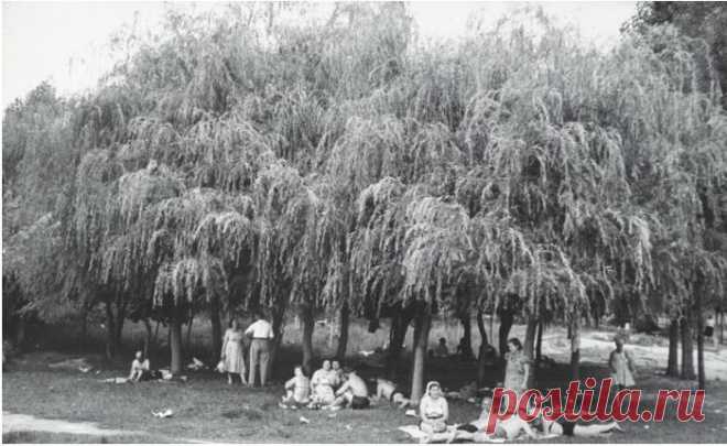 Советский Союз глазами американского фотографа - Открытая Россия