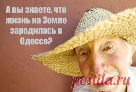 35 одесских выражений, которые помогут вам выиграть в споре