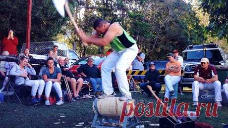 Никогда не бойся делать то, что ты не умеешь. Ковчег был сооружен любителем. Профессионалы построили "Титаник" ✨😇🌟