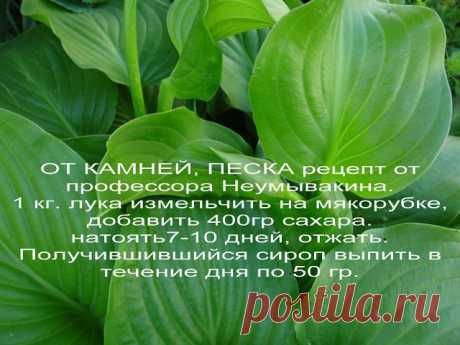 Татьяна Соловьева
Россия, г. Кропоткин (г. Кропоткин)
