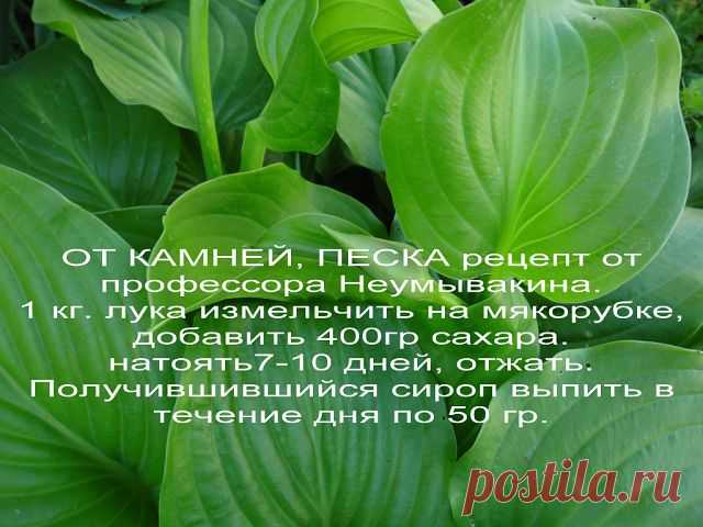 Татьяна Соловьева
Россия, г. Кропоткин (г. Кропоткин)