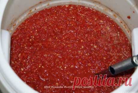 Аджика: 17 рецептов на любой вкус.
 
Рецепт №1
5 кг помидоров, 1 кг сладкого перца, 16 штук горького перца, 300 г чеснока, 0,5 кг хрена, 1 стак. соли, 2 стак. уксуса, 2 стак. сахара.
Все перемолоть на мясорубке, включая семечки из перца (в нем обрезаются только хвостики и внутри он не вычищается), добавить сахар, соль, уксус, дать постоять минут 50, разлить по бутылкам. Кипятить не нужно. Хранится хорошо в бутылках без холодильника.
 
Рецепт №2
200 г чеснока, 4 палочки хре...