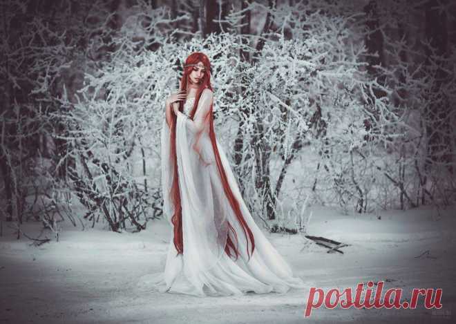 Орехи.ТВ - Категория «Красивые фотографии»