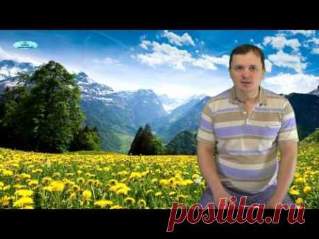 ЛОБЕЛИЯ. ПИКИРОВАНИЕ и ПОДКОРМКИ РАССАДЫ ЛОБЕЛИИ .