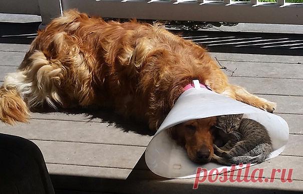 Супер кадр из интернета!