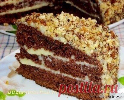 Шоколадный торт на кефире «Фантастика»