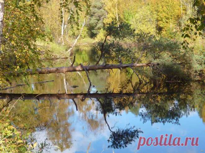 ФОТОМАСТЕРСКАЯ ПРИРОДЫ
Светлана Пыстина (Фомина)