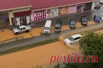 Россиянка испугалась загаженного двора