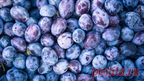 Назван фрукт для борьбы с развитием тромбоза | Слово и Дело