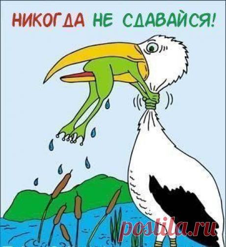 Никогда не сдавайся!!!