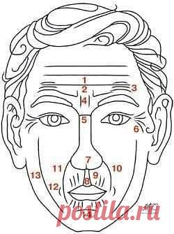 ПУТЕШЕСТВИЯ ТЕЛА И ДУХА:
Откуда берутся наши морщинки?

Известно, что каждая часть тела содержит в себе информацию обо всех внутренних органах. Не является исключением и лицо.
Морщины на лице появляются в случае ослабления или заболевания связанных с этими местами внутренних органов, а также из-за «сбоев» в других телах: энергетическом, мысли и сознания.

На рисунке изображены наиболее часто встречающиеся морщины.

1. Морщины ума
На лобной части лица спроецирована голова человека.