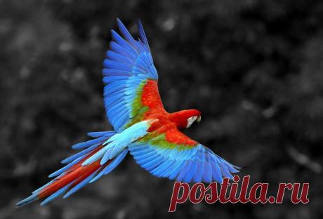 Василий Тимошин vasiliy-timoshin (Vasilek), Москва, Россия на Мой Мир@Mail.RU