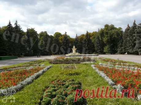 Центральный парк им. М.Горького. Здесь растцт уникальные деревья. Фонтан в 2013 году полностью восстановлен в своем первоначальном виде