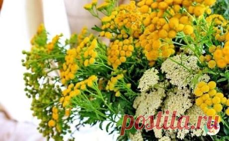 ЛЕЧЕБНЫЙ СИРОП ДЛЯ ПЕЧЕНИ, ПОЧЕК И ЖКТ

"У меня была соседка, которая очень любила выпить, причем, крепко выпить. И так она к этому делу пристрастилась, что посадила печень до цирроза. Она долго лечилась, несколько раз лежала в больнице, но вылечиться полностью не могла.

И вот ей дали рецепт, который полностью помог ей вылечиться от цироза печени. Но им, как оказалось, можно лечить практически все заболевания печени, почек и желудочно-кишечного тракта.

Рецепт лечебного с...