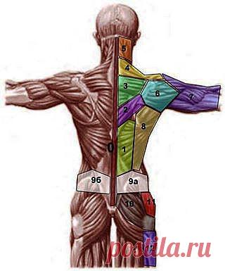 Парапсихология - ПРОЕКЦИЯ ПСИХОСОМАТИЧЕСКИХ ПРОБЛЕМ НА ТЕЛЕ...