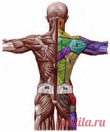 Парапсихология - ПРОЕКЦИЯ ПСИХОСОМАТИЧЕСКИХ ПРОБЛЕМ НА ТЕЛЕ...
