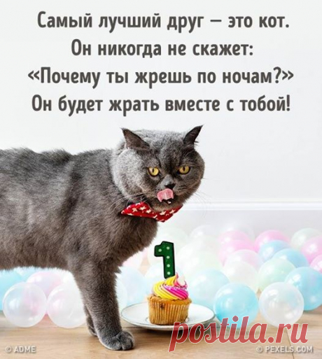 Здоровье - это просто - Главная