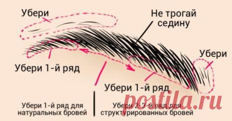 Идеальные брови дома за 3 минуты: просто следуй инструкции! — Копилочка полезных советов