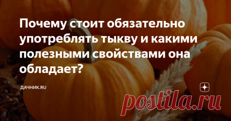 Почему стоит обязательно употреблять тыкву и какими полезными свойствами она обладает? Статья автора «Дачник.RU» в Дзене ✍: Если вы раньше не слишком жаловали такой овощ, как тыква и в вашем рационе не было блюд с её участием, то этот обзор станет открытием дня.