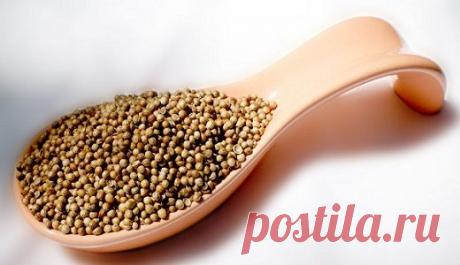 Лечение кориандром