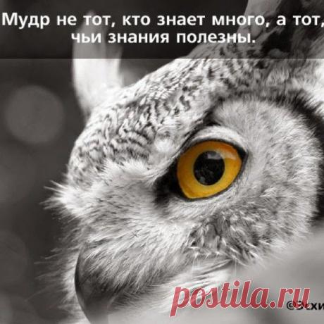 Фото tanyasharovska https://reg.tiande.ru/register?ref=wz4s11V4rmlhkAD3sr1mQQ