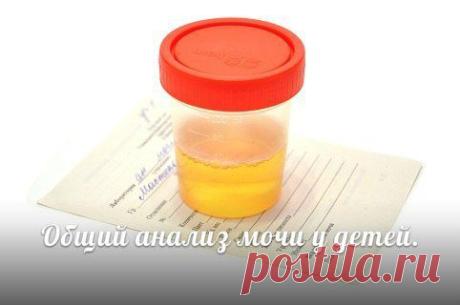 ✿ РОДИТЕЛИ и ПЕДАГОГИ! ✔Наши  | ВКонтакте