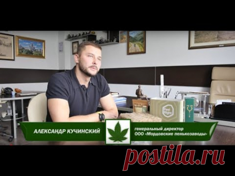 Производство технической конопли в России (ООО Мордовские Пенькозаводы)  | Сделано в России