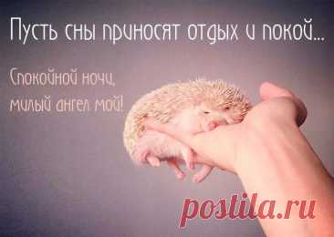 &quot;Пусть тебе приснятся котята, которые играют в видеоигры. Спокойной ночи!&quot; прикольный спокойной ночи открытки