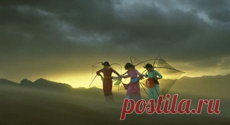 ФотоТелеграф » Финалисты фотоконкурса от журнала Smithsonian