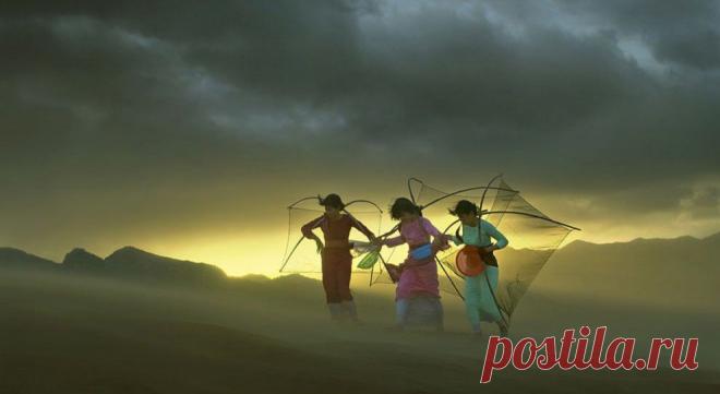 ФотоТелеграф » Финалисты фотоконкурса от журнала Smithsonian