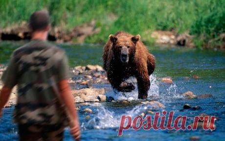 Дикие животные бывают ооочень дикими - видео