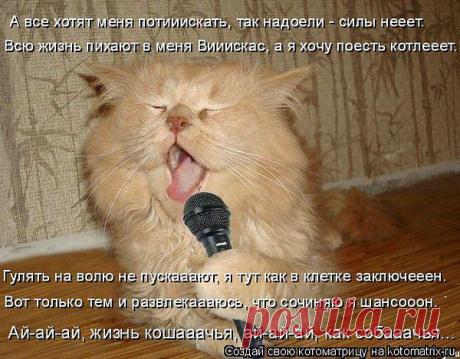 Интересные новости