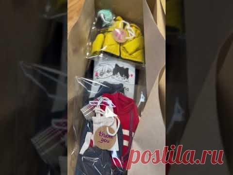 Собираю в дорогу #бжд #шарнирнаякукла #авторскаякукла #миниатюра #кукольнаяминиатюра