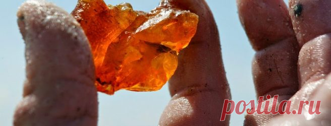 Знаки Зодиака и янтарь: кому идеально подходит, а кому противопоказан