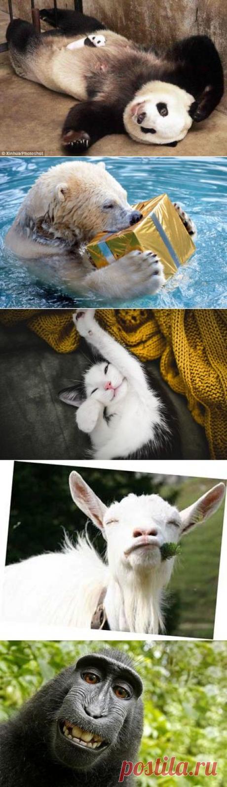 Как выглядят счастливые &amp;#8212; Всегда в форме!