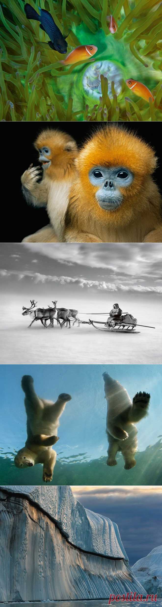 Лучшие фотографии за октябрь от National Geographic Россия (2013) | В мире интересного