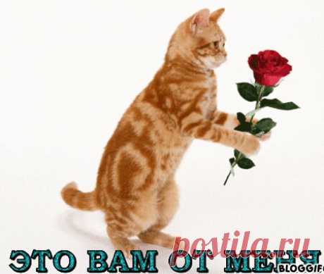 Это от меня !