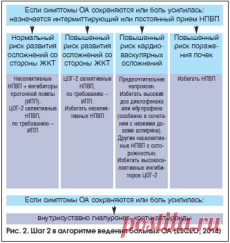 Помощь клиницисту: алгоритм комплексного подхода в терапии остеоартроза | Загребнева А.И. | «РМЖ» №14 от 16.09.2016