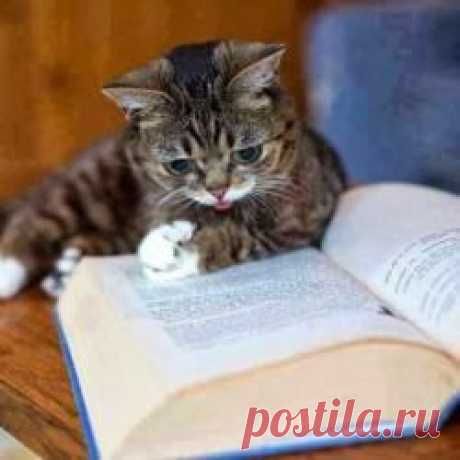 (+1) - 25 популярных цитат из знаменитых книг